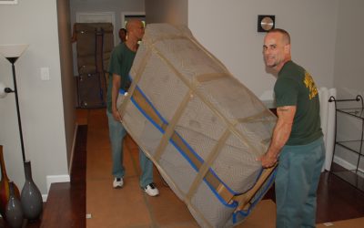 How Can Professional Packing Services Help in Time-Sensitive Relocations?